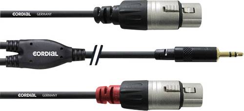 Image of Cordial Audio Adapterkabel [1x Klinkenstecker 3.5mm - 2x XLR-Buchse] 3.00m Schwarz