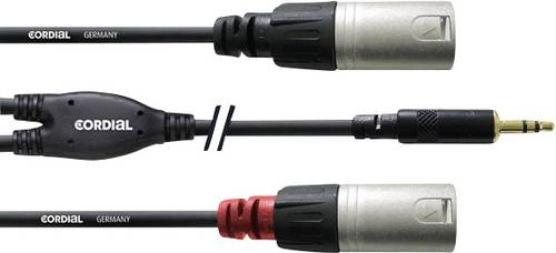 Image of Cordial Audio Adapterkabel [1x Klinkenstecker 3.5mm - 2x XLR-Stecker] 1.80m Schwarz