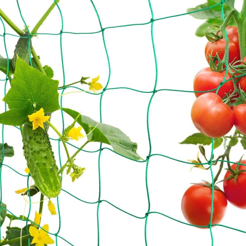 Image of Gartennetz, Kletterpflanzennetz, Rudernetz zum Ernten von Gurken, Gemüse, Tomaten und anderem Gemüse, Sicherungsnetz für Kletterpflanzen (1,8 x 3,6 m)