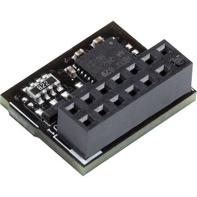 Image of ASUS TPM-SPI Modul