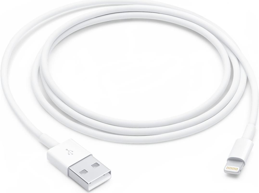 Image of Apple - Lightning-Kabel - Lightning männlich zu USB männlich - 1 m (MUQW3ZM/A)