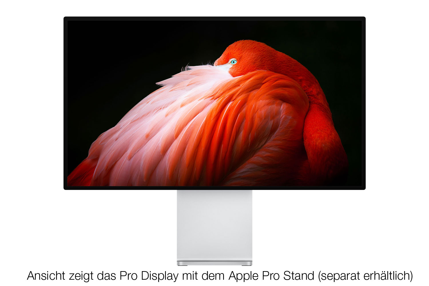 Image of Apple Pro Display XDR (Nanotexturglas), 32"